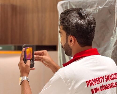 secondary inspection Dubai